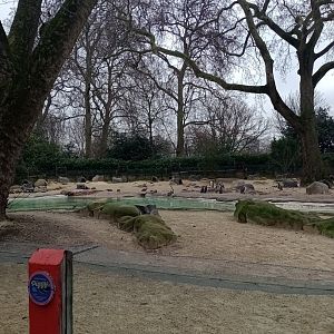 Penguin Beach panaroma