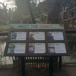 Gorilla signpost about family