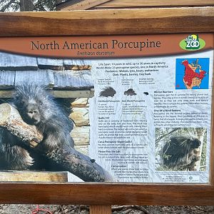 Porcupine Sign