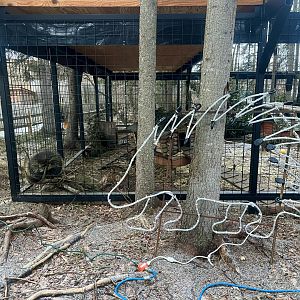 Porcupine Exhibit and Zoo Lights Frame