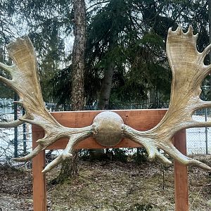 Fun photo opportunity