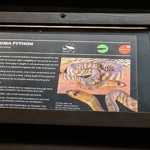 Womma python signage