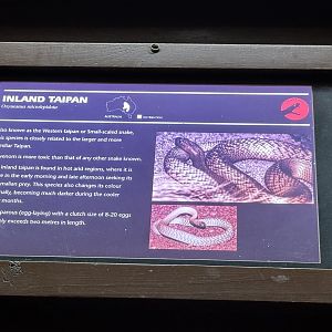 Inland taipan signage