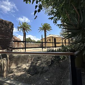 Giraffe and meerkat exhibits