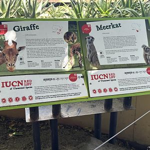 Giraffe and Meerkat signage