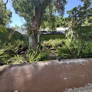 One of the Tasmanian devil exhibits
