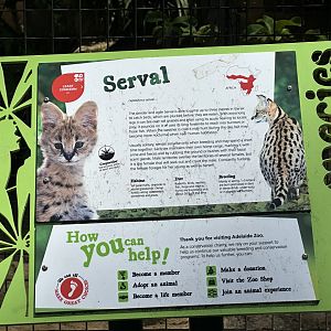 Serval signage