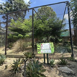 Serval exhibit (right side