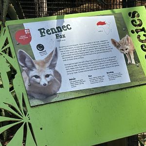 Fennec fox signage