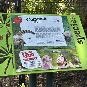 Common coati signage
