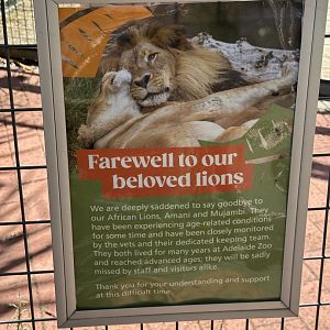 Farewell Amani and Mujambi