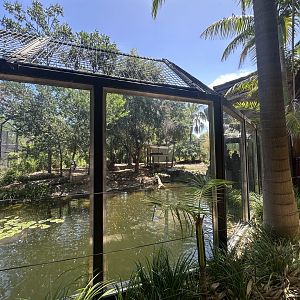 Lower Sumatran Tiger exhibit