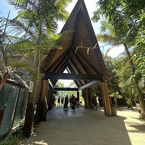 Sumatran Tiger and Orangutang building