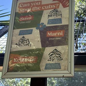 Identifying the tigers signage