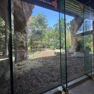 Sumatran tiger viewing exhibit