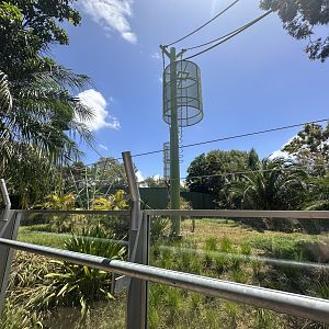 Back Orangutang exhibit