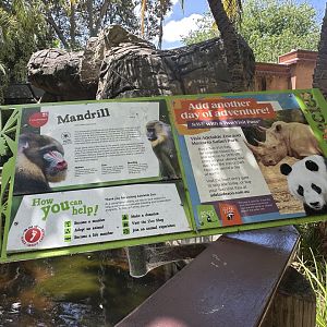 Mandrill signage