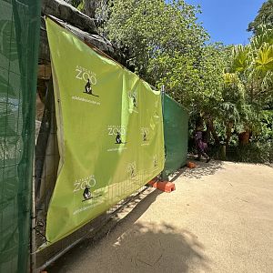 Baboons barricaded off exhibit