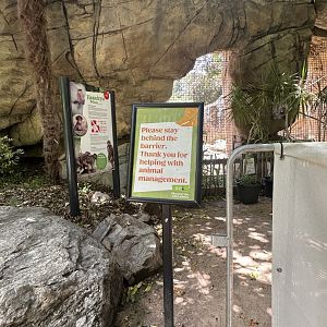 Baboon signage