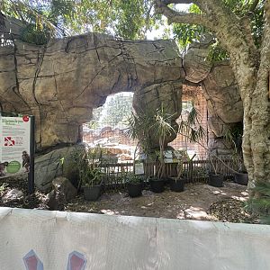 Baboon signage and exhibit