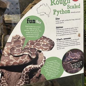 Rough scaled python signage