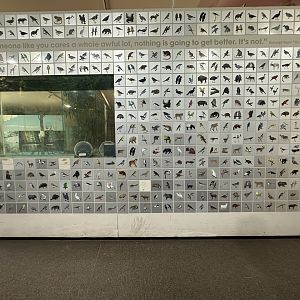 Previous species kept at Adelaide / old signage