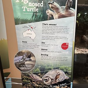 Pig nosed turtle signage