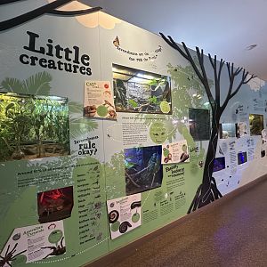 Envirodome exhibit wall