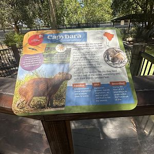 Capybara signage