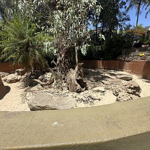 Meerkat exhibit down at seals