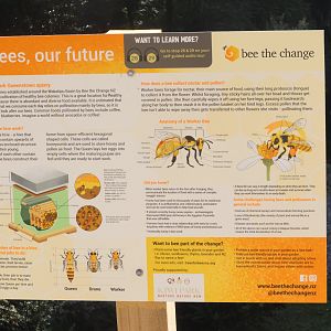 Signage for Honey Bee