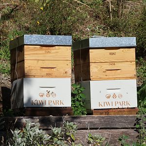 Bee hives