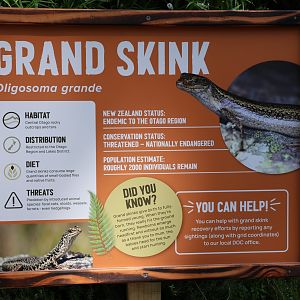 Signage for Grand Skink