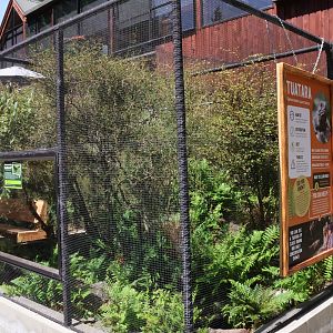 Outdoor Tuatara enclosure