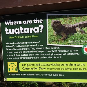 Tuatara torpor signage