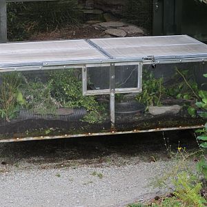 Outdoor enclosure for small juvenile Tuatara (Sphenodon punctatus)