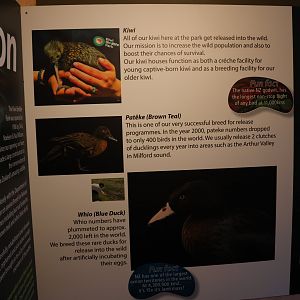 Native bird conservation signage