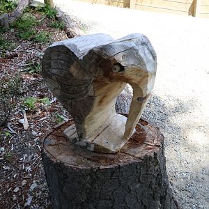 Sculpture of Kiwi