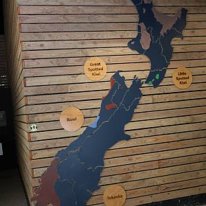 Signage for distribution of Kiwi species