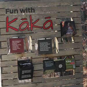 Signage for South Island Kākā