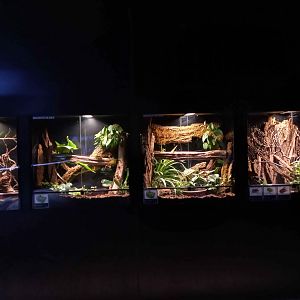 Terrariums at The Bay of rays
