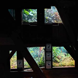 Terrariums in the tropical house
