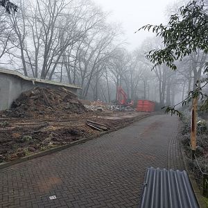 Pheasantry being demolished