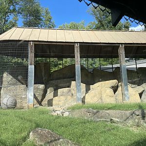 9/28/2024 - Former Corn-Crib Cage?