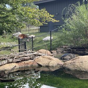 9/28/2024 - Neighbors of the Congo