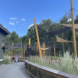 9/28/2024 - Serval Habitat