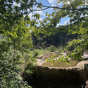 9/28/2024 - Left Cassowary Habitat