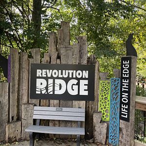 9/28/2024 - Revolution Ridge Entry
