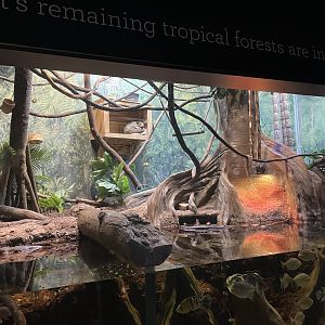 9/28/2024 - Amazon Habitat