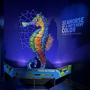 9/28/2024 - Seahorse Sculpture